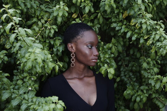 Portrait of a young lady in a garden