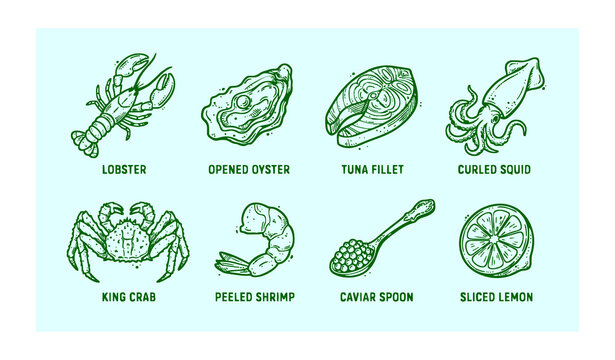 Untitled design - 3Seafood menu vector icons with lobster oyster tuna crab shrimp and squid hand drawn line art