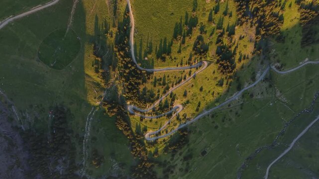 Overhead view of dramatic winding switchback road carved into alpine hillside at Port de Cabus, Andorra, with golden evening light casting long shadows across green meadows and pine trees
