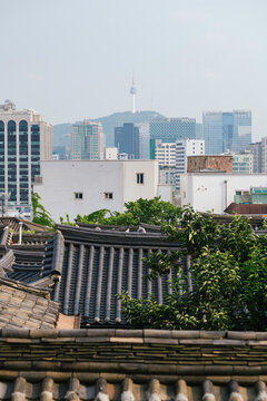 Traditional Hanok Roofs and N Seoul Tower Cityscape