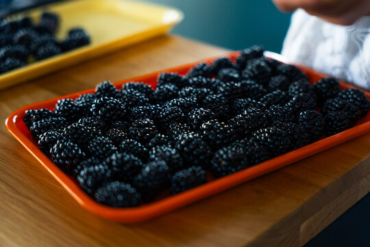 Fresh Blackberries Arranged on Tray in Home Kitchen
