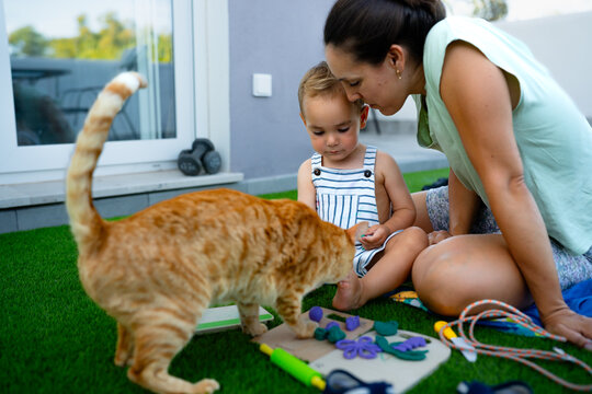 Mother, child, ginger cat playing together outdoors