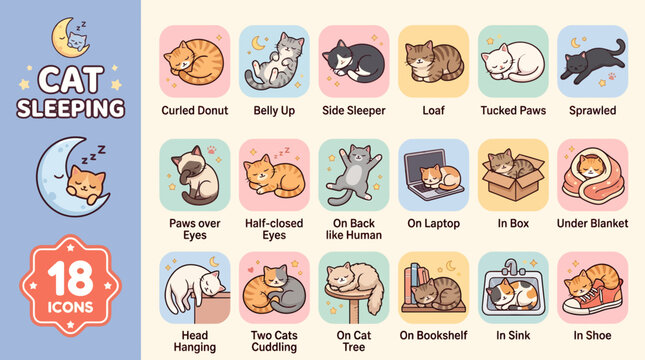 Set of cute cat sleeping positions icons, cartoon style illustration of different poses