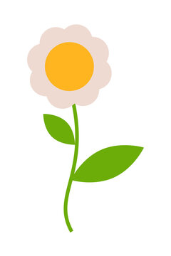 Cute daisy flower PNG with cream petals, orange center, green stem and leaves. Minimal botanical clipart for stickers, crafts, nursery decor, invitations, scrapbooking, gardening, branding, design