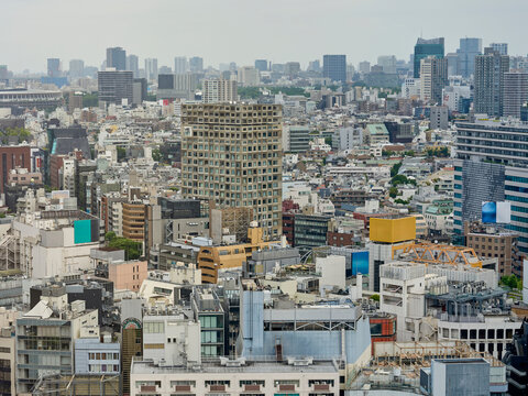 Views of City Buildings in Tokyo From a High Place in Daylight