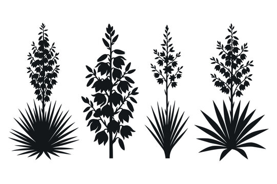 Black and white agave and yucca plants illustration