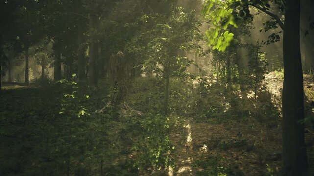 Golden hour Austrian woodland with visible light shafts, warm rays cutting through leaves, rich textures and cinematic contrast ideal for landscape