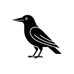 Obraz premium Minimalist Magpie Bird Icon Vector, Black Silhouette illustration, Graphic design logo symbol, Monochrome line art isolated on White Background Editable icon