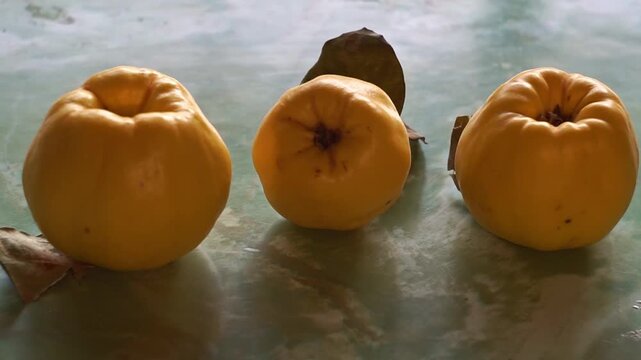 Slow motion camera panning of three ripe yellow quinces with dry autumn leaves in a row on a green marbled table, horizontal video.