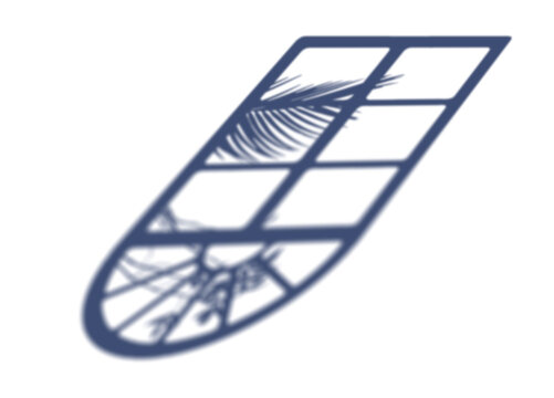 Palm leaves and window shadow overlay effect isolated