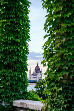 Hungarian parliament building with green leaves