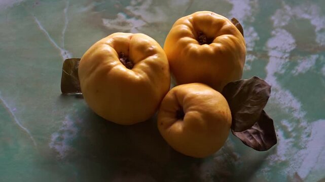 Side angle view of three ripe yellow quinces with dry autumn leaves on a green marbled surface, slow motion horizontal video.