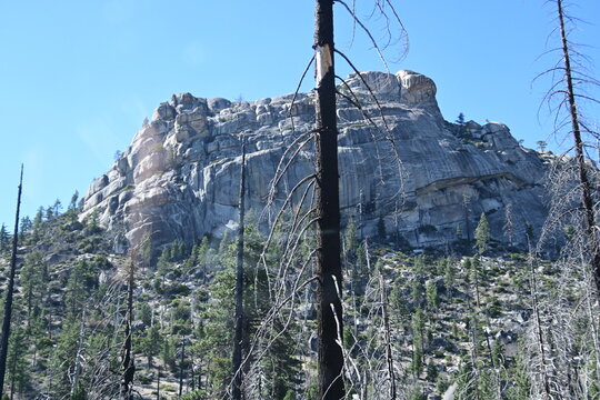 jackass rock