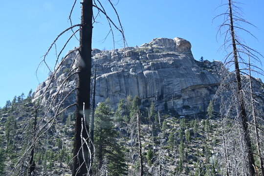 jackass rock