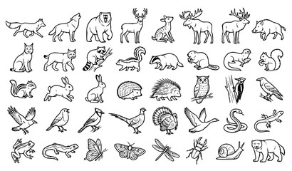 Fototapeta premium North American woodland animals line art vector icons set isolated on white background