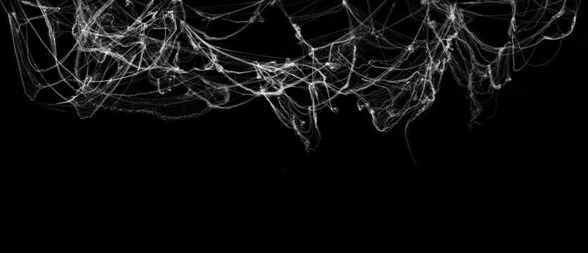 Tangled spider's web on isolated black background for Halloween design. White cobweb for applying in screen blend mode on any concept