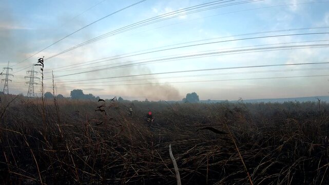 Male fireguards in full equipment unwinding the fire hose at countryside. Young firemen in uniform getting to ready extinguish dry grass at meadow. Concept of environmental issues and global warming