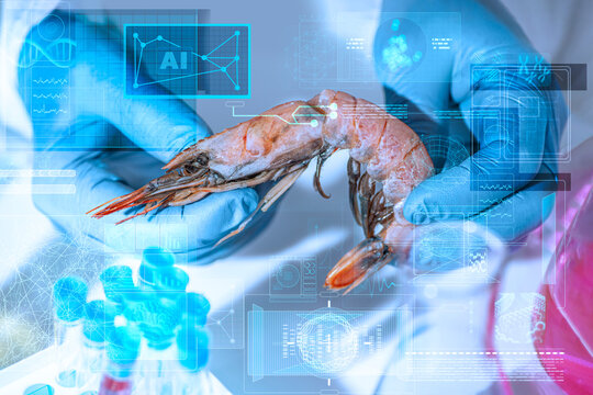 Gloved hands inspect shrimp in a food lab, representing AI-assisted seafood quality control, smart monitoring and food safety analysis.