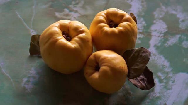 Side angle view of three ripe yellow quinces with dry autumn leaves on a green marbled surface, slow motion horizontal video.