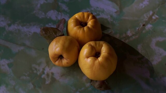Top view of three ripe yellow quinces with dry leaves on a green textured marbled surface, slow motion horizontal video.