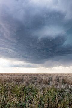 Impacts of Climate Change. El Ni&ntilde;o, the environment, rising global temperatures. Pollution and devastating storms featuring tornadoes and strong winds. Uncontrolled weather. Vertical