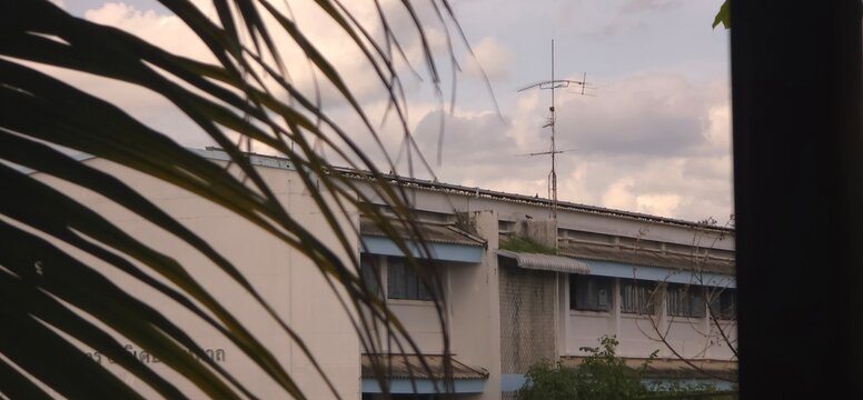 School building view framed by tropical palm leaves against cloudy sky