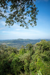 Fototapeta premium Vertical view of lush tropical forest and distant mountain landscape