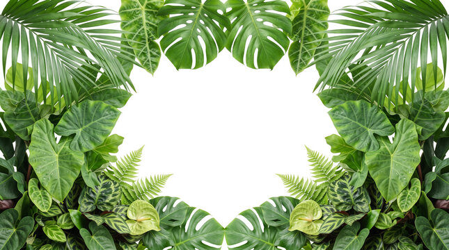 Tropical jungle leaves border frame isolated as PNG