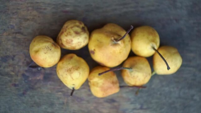Top view of small yellow wild pears arranged on a rustic wooden table, slow motion horizontal video.
