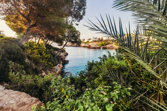 Palm framed coastal view at Cala Esmeralda, Mallorca, Spain.