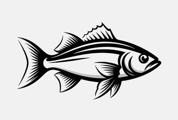 Fototapeta premium Black and white vector illustration of fish resembling bass or perch with detailed fins and scales for fishing or nature theme.