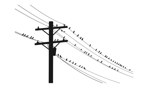 Many birds perched on electric power lines against a white background in a minimalist black silhouette