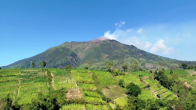 Mount Merbabu in central java view. cool mountain landscape scenery with windy trees. mountain nature background