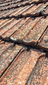 Close up of weathered terracotta roof tiles with lichen in warm daylight, ideal for architecture portfolios, maintenance guides, heritage restoration editorial