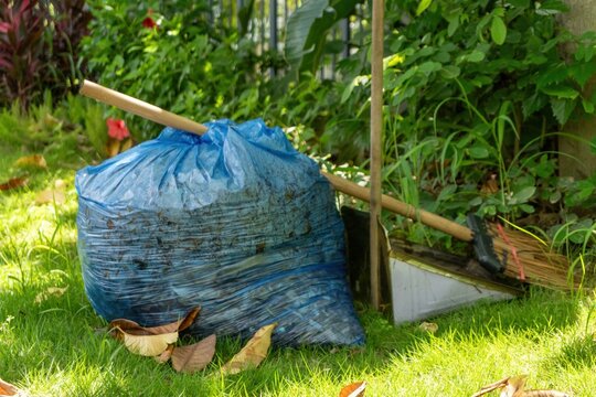 Blue bag filled with leaves in green garden