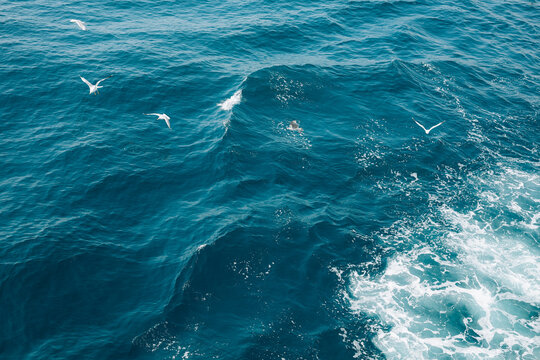 Natural abstract ocean background featuring vibrant turquoise water, energetic waves and delicate white sea foam.