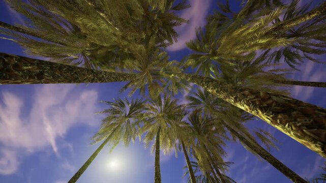 Romantic canopy of lit palms overhead, warm bulbs woven around trunks, violet sky hinting at sunset, scene framed for evening proposal or intimate dinner setup