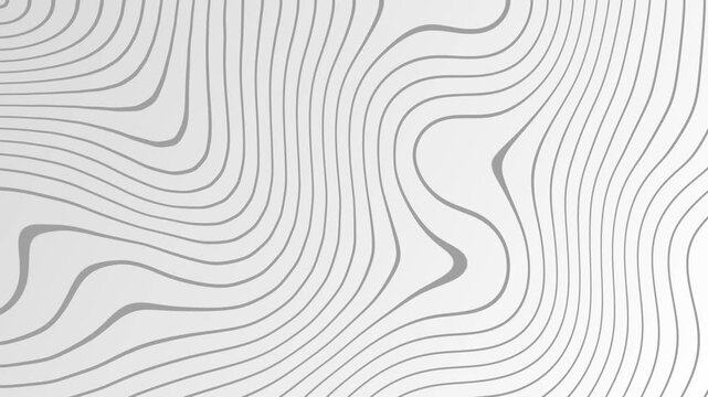 Abstract topographic lines slowly shift creating dynamic fluid movement on a clean white background, modern graphic design.