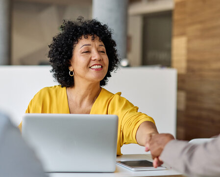 Portrait of  a young businesswoman and businessman shaking hands introducing each other during a meeting or conference in the office