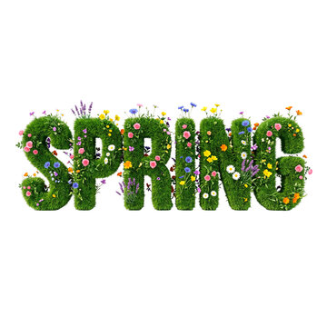 Spring word formed by lush green grass and vibrant blooming flowers in various colors PNG Isolated on transparent background