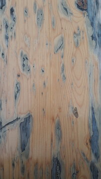 wood texture background