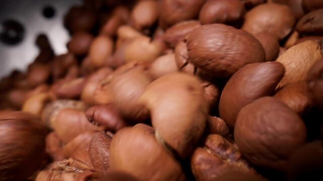 Slow motion close up of roasted coffee beans tumbling inside metal roasting drum, food industry macro probe view.