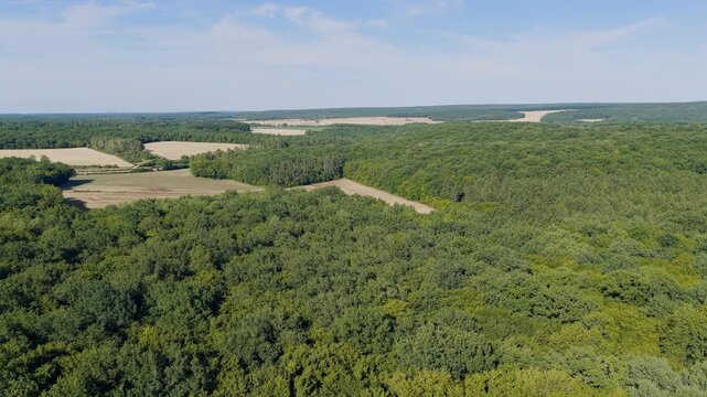 Aerial view of expansive green forests and agricultural fields under a clear blue sky near Cuncy-les-Varzy in the Nievre region of Burgundy, France.