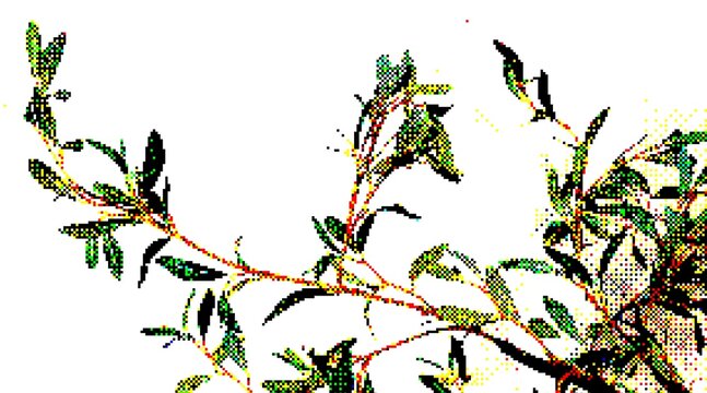 Pixelated halftone dither green leaves branch isolated on white background.