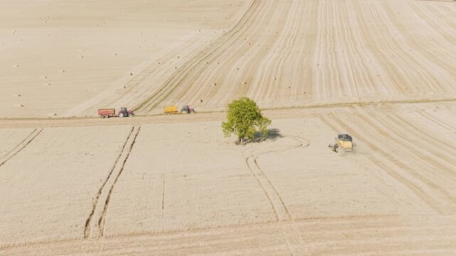 Aerial view of a wide, golden wheat field during harvest near Cuncy-les-Varzy, Bourgogne-Franche-Comte, France.