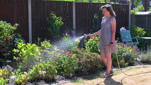 Watering the August flowerbed.