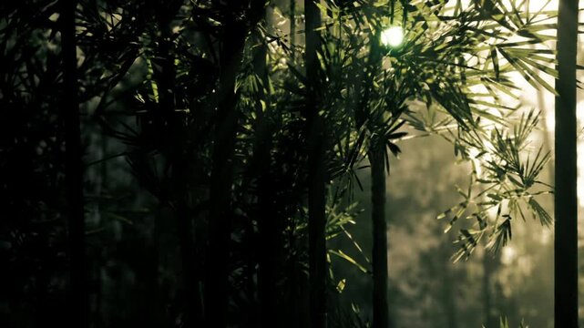 Golden hour bamboo canopy bathed in warm light, layered stalk silhouettes and gentle shafts creating intimate mood and soft shadows lush foliage and subtle