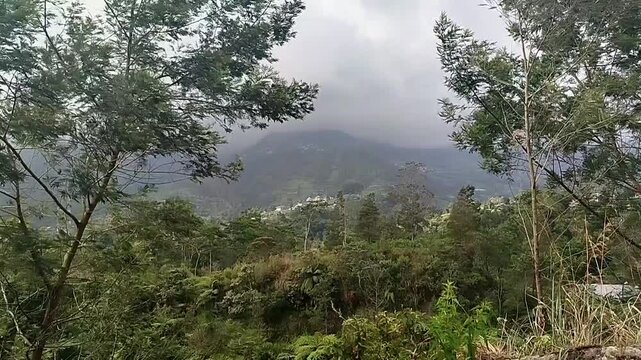 Mount Merbabu in central java view. cool mountain landscape scenery with windy trees. mountain nature background