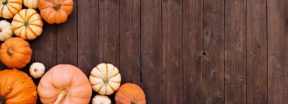 Fall corner border of an assortment of pumpkins over a rustic dark wood banner background. Overhead view with copy space.