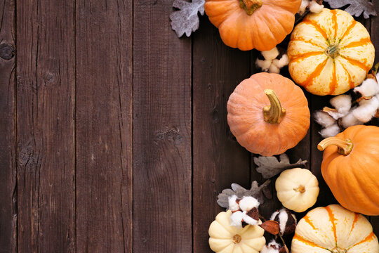 Fall side border of pumpkins, leaves and natural decor over a rustic dark wood background. Above view with copy space.